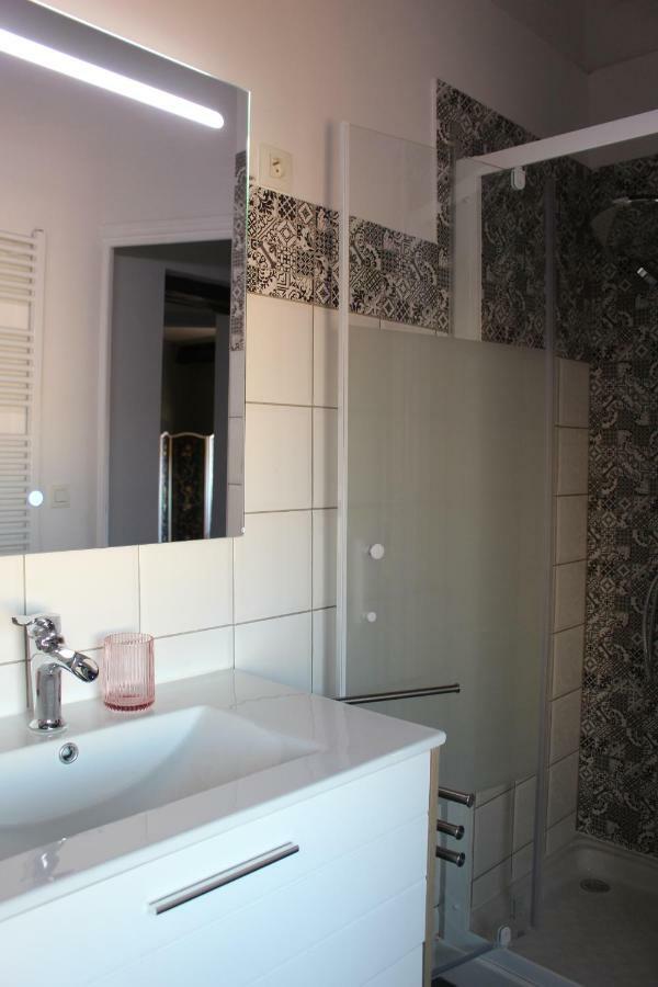 Le Cerf Volant Apartment Albi Ngoại thất bức ảnh
